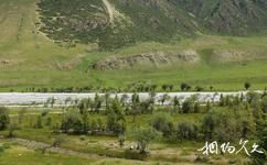 新疆伊犁昭蘇大草原旅遊攻略之夏塔谷地