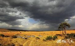肯尼亚马赛马拉国家保护区旅游攻略