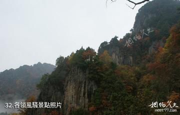 陝西南宮山國家森林公園-各領風騷照片