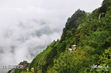 汉中天台森林公园-云海茫茫照片