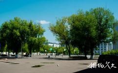 哈尔滨工程大学校园概况之夏木繁荫