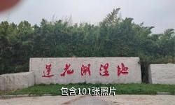 济宁市坟上莲花湖湿地景区驴友相册
