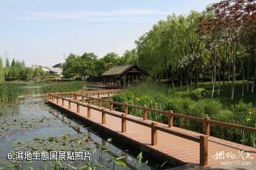 上海閔行體育公園-濕地生態園照片