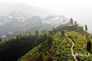 廣西百色那坡凌雲加尤旅遊景點大全