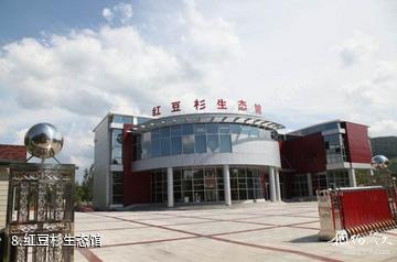 黑龙江森工苇河林业局红豆杉景区-红豆杉生态馆照片