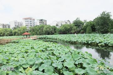 柳州雀儿山公园-雀湖照片