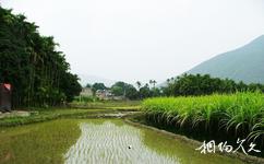 漠沙大沐浴旅游文化生态村旅游攻略之田野风光