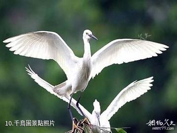 鎮賚莫莫格國家級自然保護區-千鳥園照片