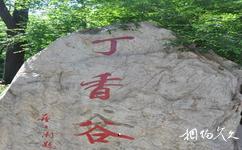 北京八達嶺國家森林公園旅遊攻略之丁香谷風景區