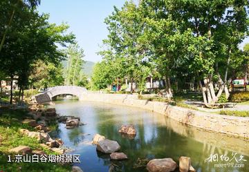 京山白谷烟树景区照片