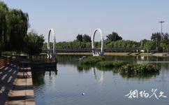北京潮白河森林公园旅游攻略之桥景