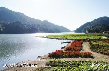 廣州從化石門國家森林公園-天池花海照片