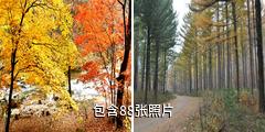 辽宁大地森林公园驴友相册