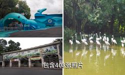 广州动物园驴友相册