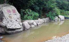 广东神光山国家森林公园旅游攻略之梅园