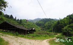 洪江雪峰山旅遊攻略之森林公園