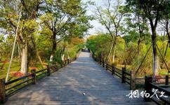 上海吴淞炮台湾国家湿地公园旅游攻略之森林休闲观光区