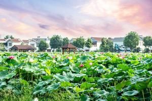 雲南曲靖麒麟旅遊攻略-翠峰街道景點排行榜