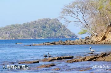 哥斯大黎加瓜納卡斯特自然保護區-鳥類照片