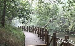 扬州茱萸湾公园旅游攻略之木栈道
