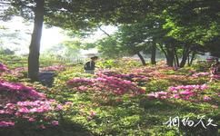 武漢東湖旅遊攻略之杜鵑園
