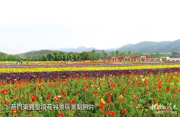 荊門東寶聖境花谷景區照片