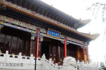 天水秦安凤山景区-青莲念佛堂照片