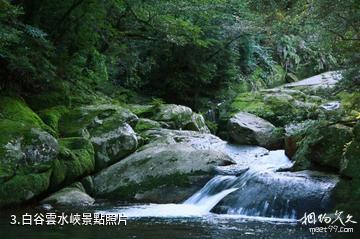 日本屋久島-白谷雲水峽照片