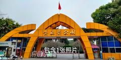南宁金花茶公园驴友相册