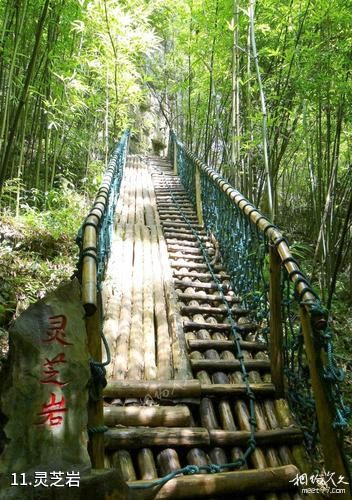 梁平百里竹海风景区-灵芝岩照片