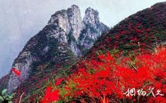 重庆巫峡旅游攻略之集仙峰