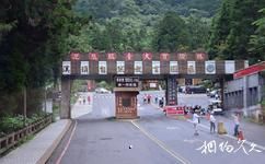 台灣溪頭森林公園（溪頭自然教育園區）旅遊攻略之停車場