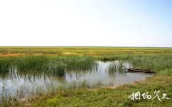 海西哈拉湖旅游攻略之湿地