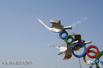 白天鵝公園-騰飛雕塑照片