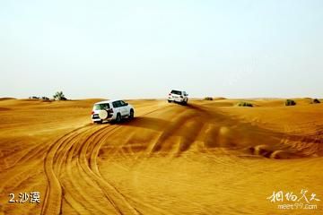 沙迦沙漠公园-沙漠照片