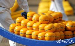 荷兰阿克马乳酪市场旅游攻略之搬运