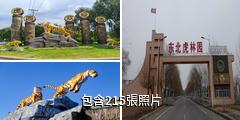 哈爾濱東北虎林園驢友相冊