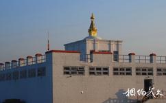 尼泊尔蓝毗尼园旅游攻略之摩耶夫人寺