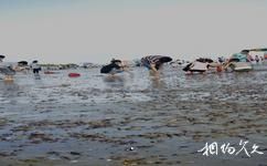 茂名水東灣中國第一灘旅遊攻略之撿東螺