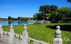 北京市宣武艺园旅游攻略之园林