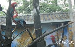 南京红山森林动物园旅游攻略之小红山鸟类区