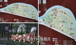 成都望江樓公園驢友相冊