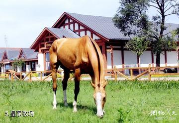 丰宁马镇旅游区-皇家牧场照片