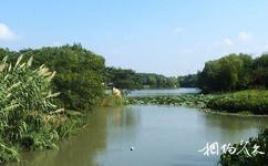 昆山城市生态森林公园旅游攻略之湿地
