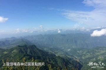 開州龍頭嘴森林公園-龍頭嘴森林公園照片