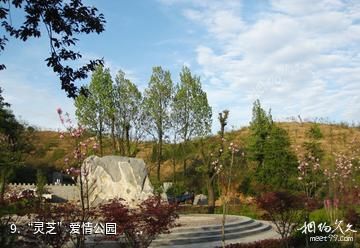 商南闯王寨阳城驿景区-“灵芝”爱情公园照片