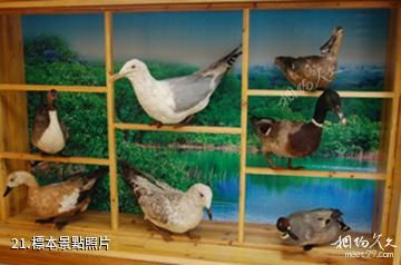 江蘇永豐林農業生態園-標本照片