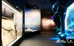 浙江自然博物館安吉館旅遊攻略之恐龍館