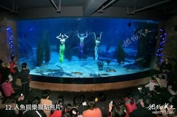 杭州海底世界-人魚同樂照片