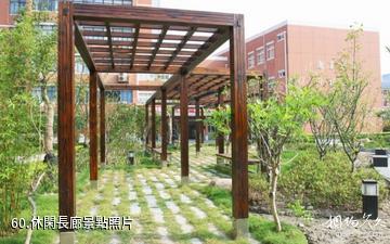 上海同濟大學-休閑長廊照片